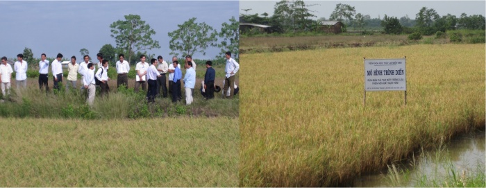 thuynong004.jpg